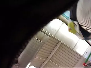 Porn anal homemade raye - from down under